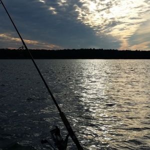 Meet your Posher, Phil